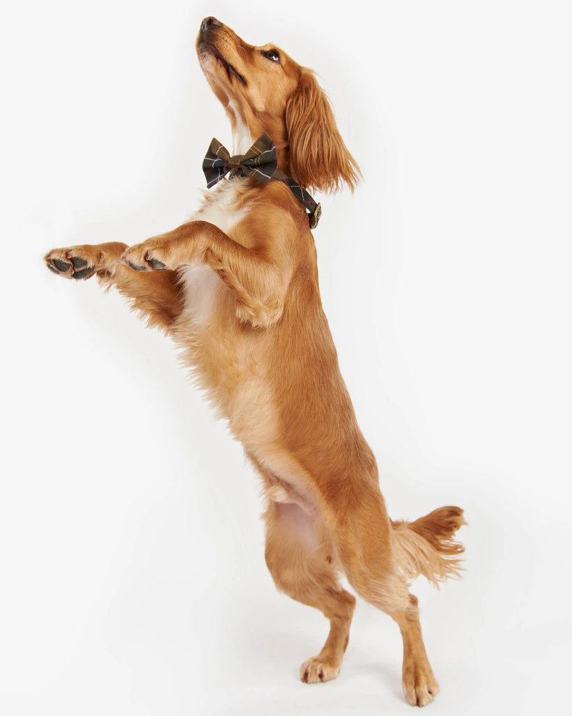 Barbour Hunda Slaufa Tartan