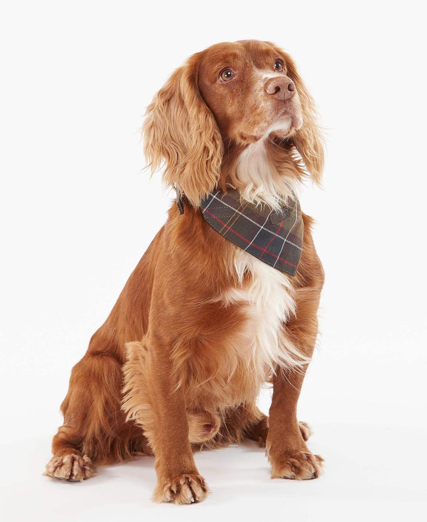 Barbour Hunda Bandana L-XL